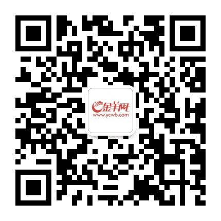 羊城晚报金羊网公众号二维码