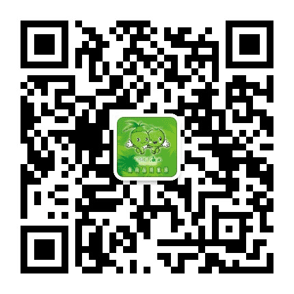 海南椰晖旅游公众号二维码