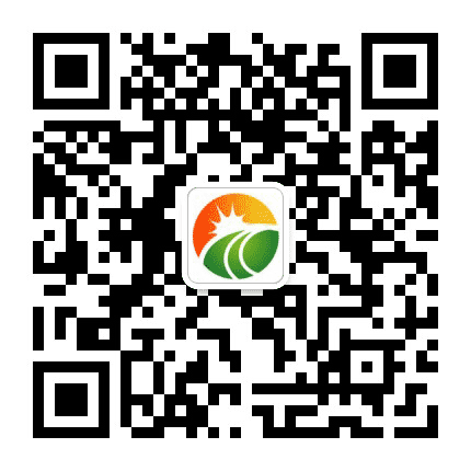 上海阳光公益基金会公众号二维码