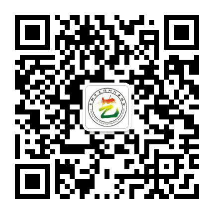 颍州艺术公众号二维码