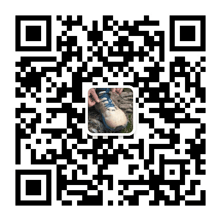 银河情报局公众号二维码