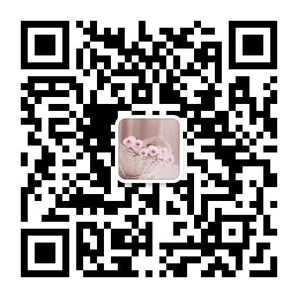 炫动音乐相册公众号二维码