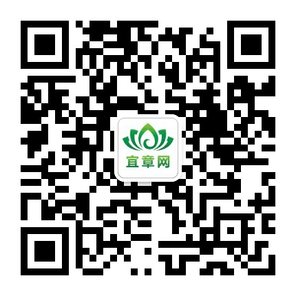 宜章网公众号二维码