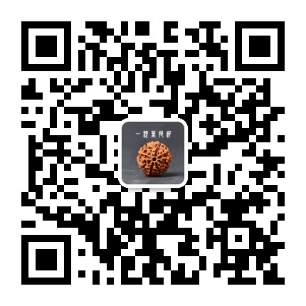 一颗菩提籽公众号二维码