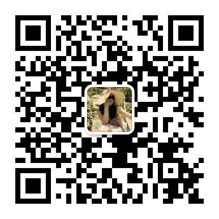 慵懒陈小小公众号二维码