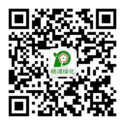 杨浦绿化公司公众号二维码