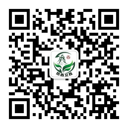 岳西女性公众号二维码