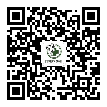 北京御康动物医院公众号二维码