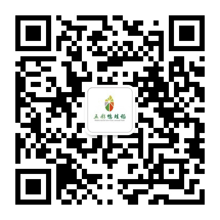 湖北金祥米业公众号二维码