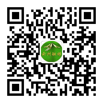 云州新闻公众号二维码