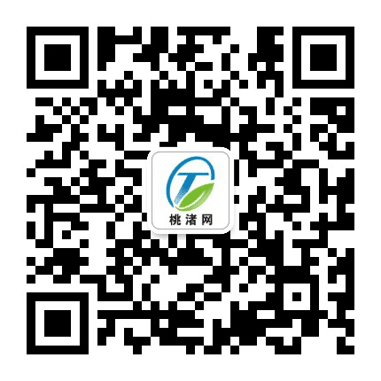 在桃渚网公众号二维码