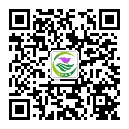 自贡城管公众号二维码