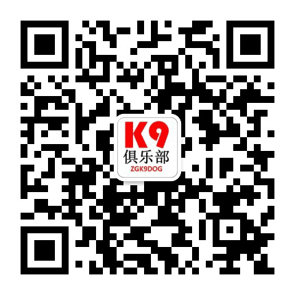 K9俱乐部公众号二维码