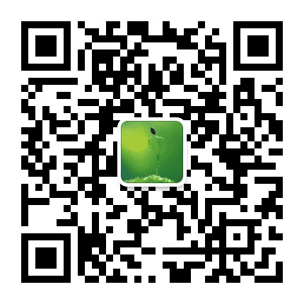 伟林樟子松苗圃公众号二维码