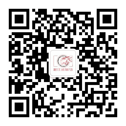 湛江巡城马公众号二维码