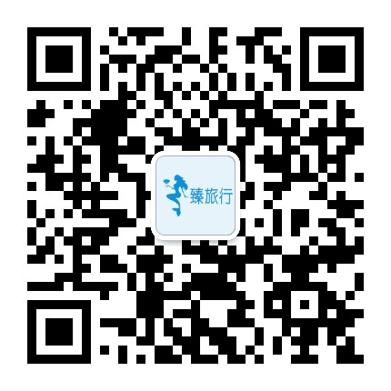 臻旅行公众号二维码