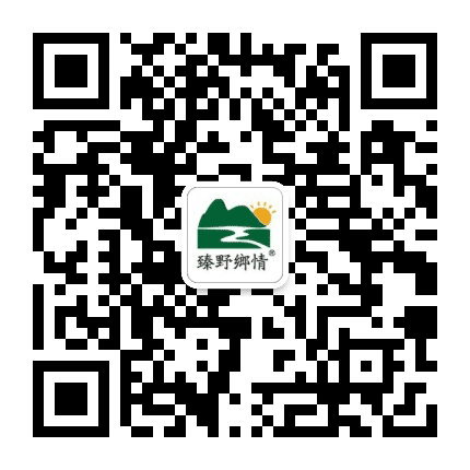 锦绣安庆公众号二维码