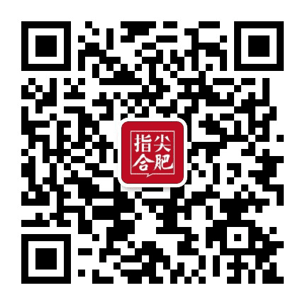 指尖合肥公众号二维码