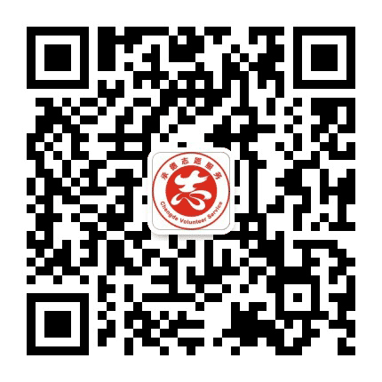志愿承德公众号二维码