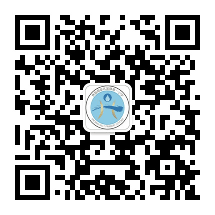 金鼎一小公众号二维码