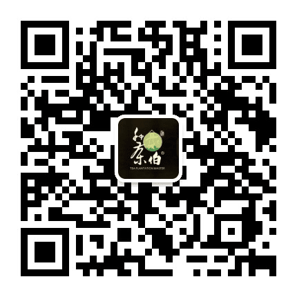 梧州种茶伯公众号二维码