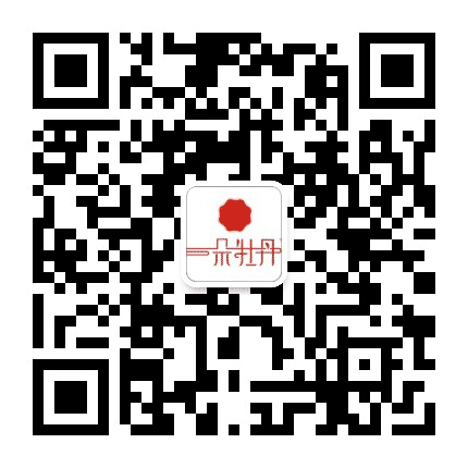 一朵牡丹全花茶公众号二维码