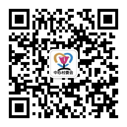 丰顺中心村委会公众号二维码
