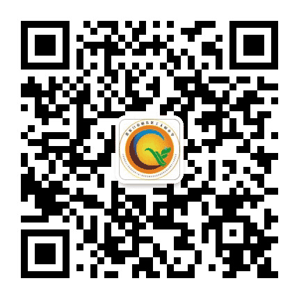 张家口市工人村学校公众号二维码
