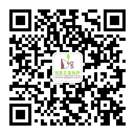 张家口宠物网公众号二维码