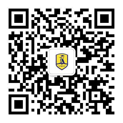啄木鸟美国本科留学公众号二维码