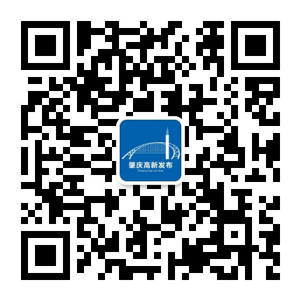 肇庆高新发布公众号二维码