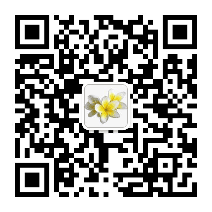 肇庆搜索公众号二维码