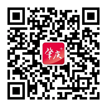 肇庆西江网公众号二维码
