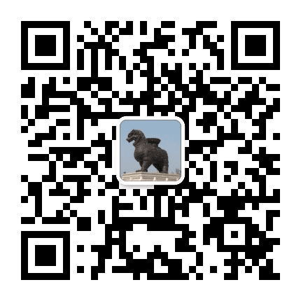 掌上沧州公众号二维码