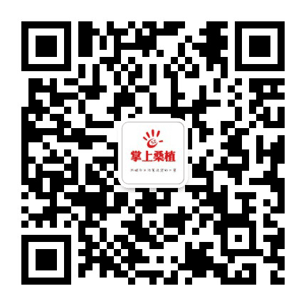 掌上桑植公众号二维码