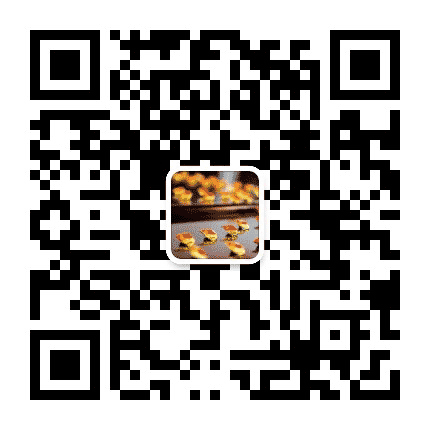 乌蒙先锋公众号二维码
