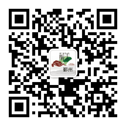 最美鄞州公众号二维码