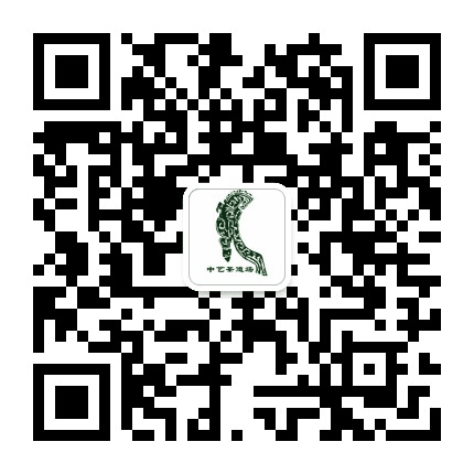 中艺教育培训中心公众号二维码
