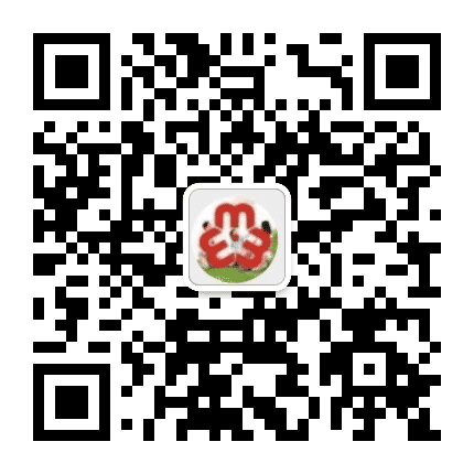 金张掖妇女公众号二维码