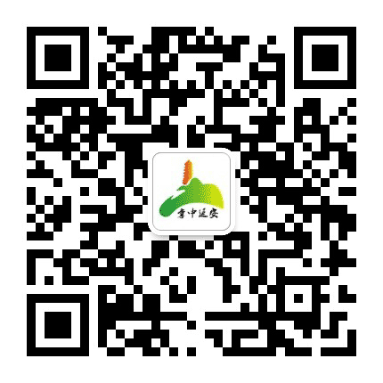 掌中延安公众号二维码