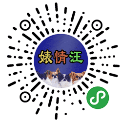 婊情汪小程序二维码
