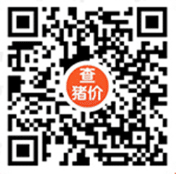 查猪价小程序二维码