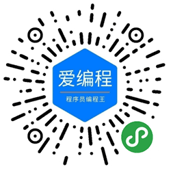 程序员编程王小程序二维码