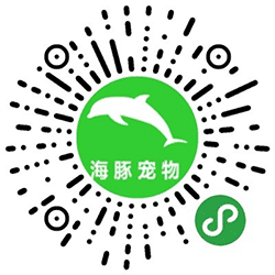 海豚宠物小程序二维码