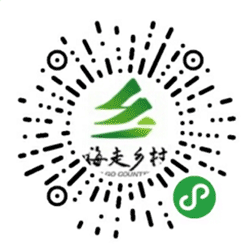 嗨走乡村小程序二维码