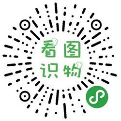 看图学说话小程序二维码