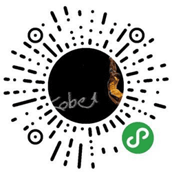 MambaBlog小程序二维码