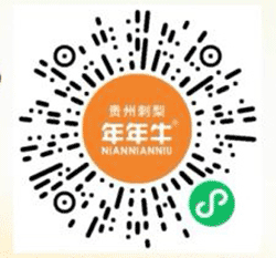 年年牛刺梨液小程序二维码