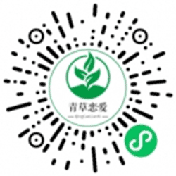 青草恋爱助手小程序二维码