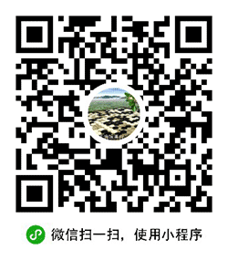 琴棋书画教学地图小程序二维码